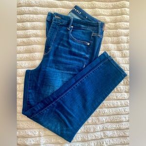 AE Dark Wash Jegging